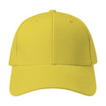 5Panel Mockup | Citrus | Instant Download JPG Mockup | POD Etsy Redbubble Printful | Commercial Use | MockupBulk