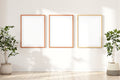 Blank Template #021 Coloured Frame Mockup | bulkmockup Digital Download | Blank Frame JPG | Commercial Licence Included | MockupBulk