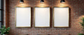 Blank Template #257 Commercial Frame Mockup | Empty Frame Template | bulkmockup High-Res JPG | Commercial Use Included | MockupBulk