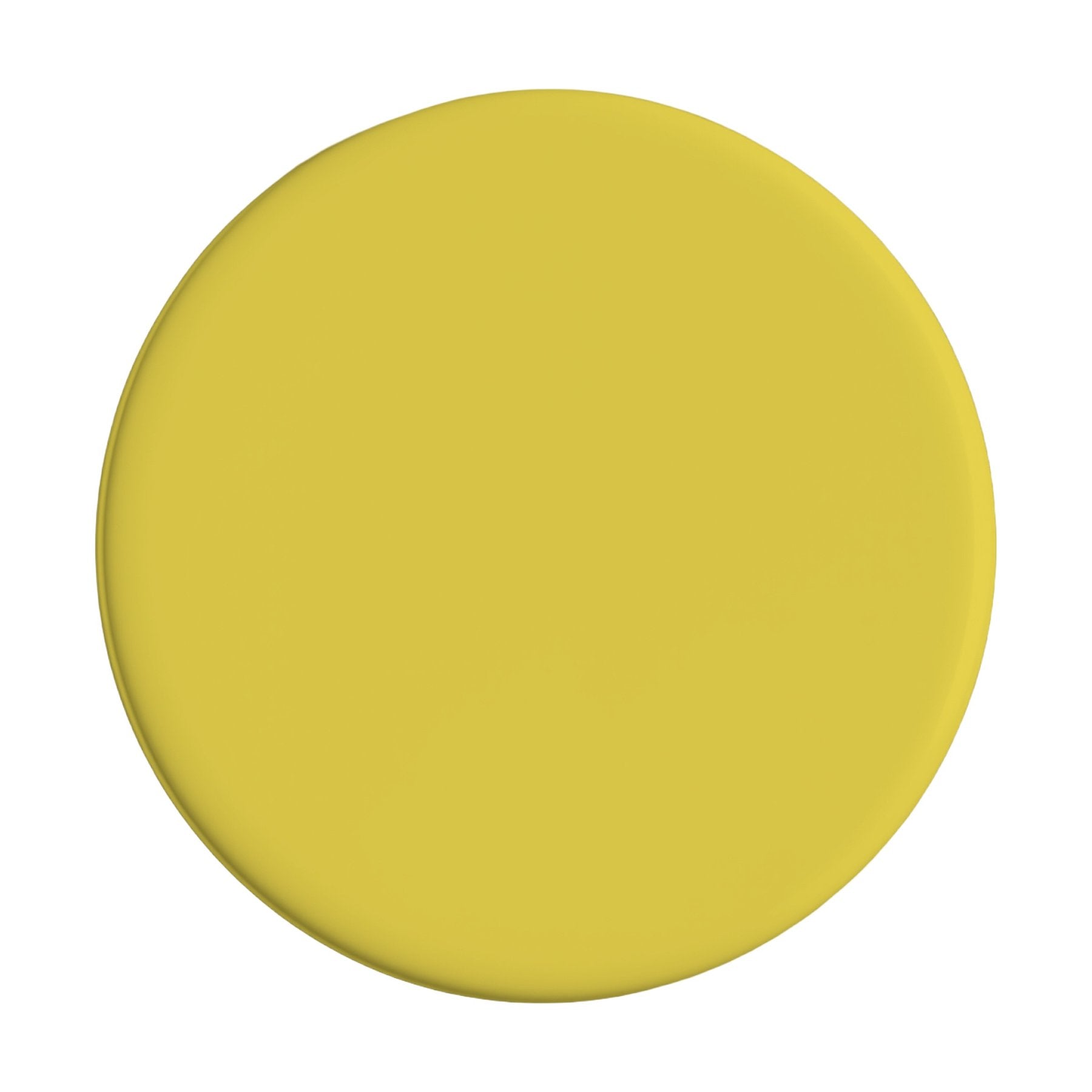 Badge Mockup | Citrus | Digital Download Mockup | High-Resolution JPG | Commercial Use Included | MockupBulk