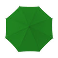 Forest Green Umbrella Mockup | High-Res JPG Instant Download | Commercial Use | Etsy POD Shopify Template | MockupBulk