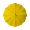 Umbrella Mockup, Daisy | Digital JPG Mockup | Commercial Licence | For Etsy Printful Printify | MockupBulk