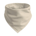 Bone Bandana Mockup | High-Res JPG Template | Instant Digital Download | POD Etsy Shopify | MockupBulk