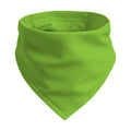 Bandana Mockup, Kiwi | Etsy POD Mockup Template | Instant Download JPG | Commercial Use | MockupBulk