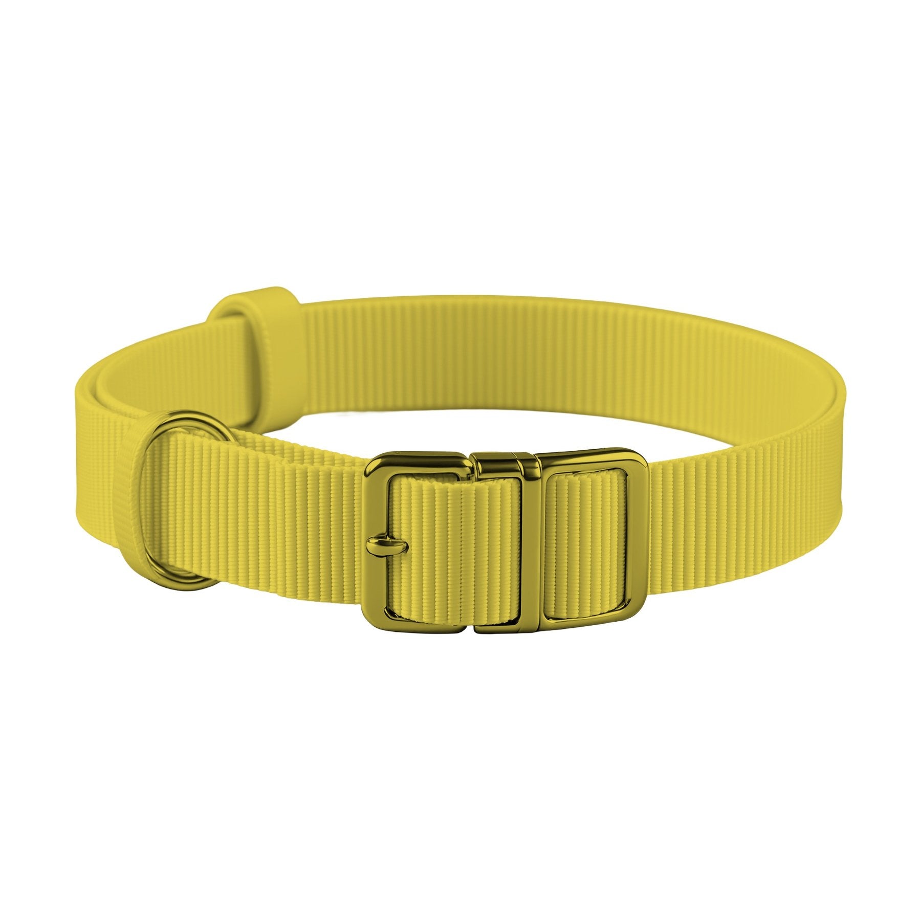 Collar Mockup | Citrus Angle45 View | JPG Mockup Download | For POD Sellers Designers Etsy Shops | Commercial Use | MockupBulk