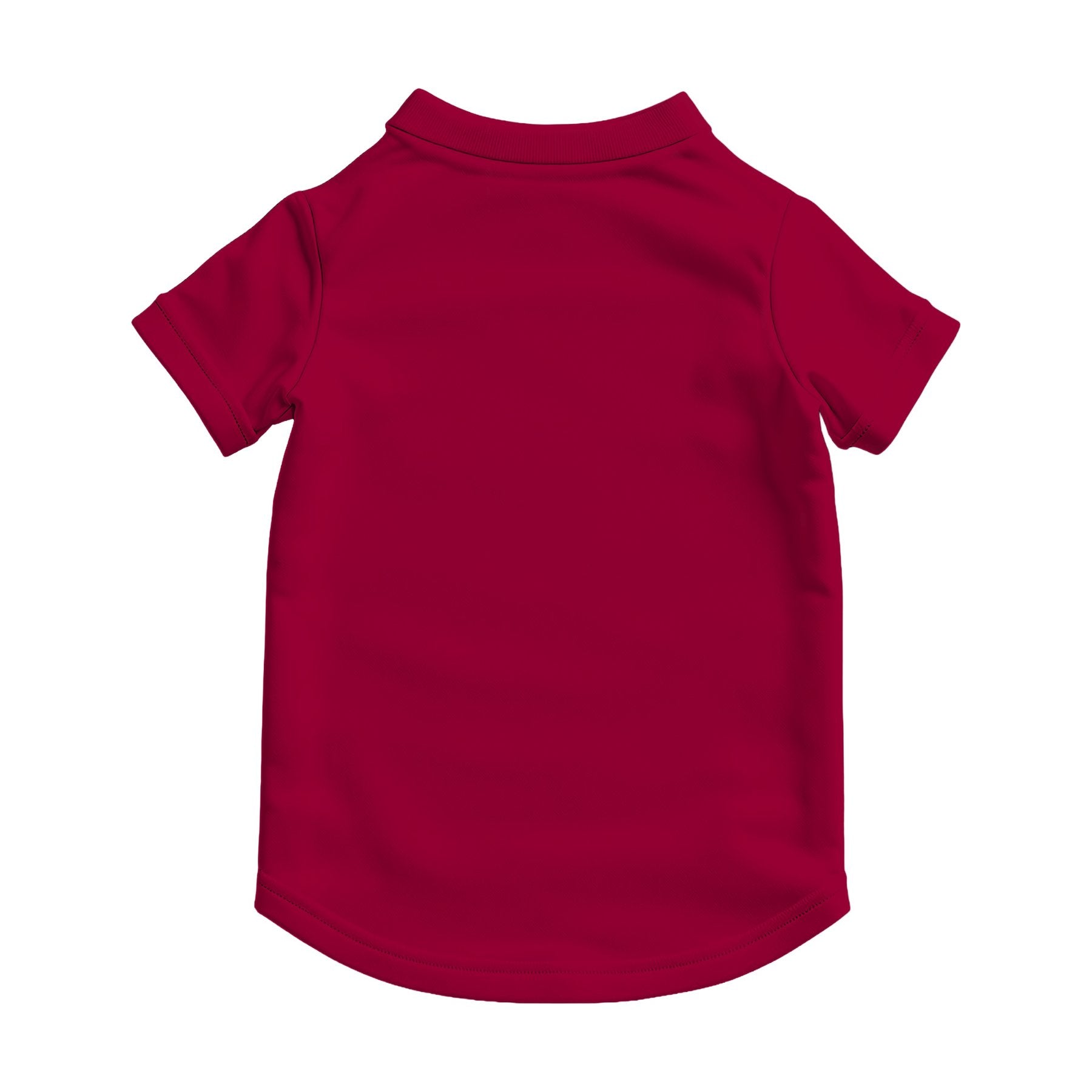T-Shirt Mockup | Antique Cherry Red Back View — Print on Demand Mockup | High-Res JPG Download | Commercial Use Included | MockupBulk