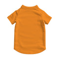 Classic Orange Back View T-Shirt Mockup | High-Res Mockup Template | JPG Digital Download | Commercial Licence | MockupBulk