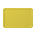 Mat Mockup, Citrus Angle45 View | JPG Mockup Download | For POD Sellers Designers Etsy Shops | Commercial Use | MockupBulk