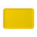 Mat Mockup | Daisy Angle45 View — JPG Mockup Download | For POD Sellers Designers Etsy Shops | Commercial Use | MockupBulk
