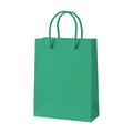 PaperBag Mockup | Bright Mint | Etsy POD Mockup Template | Instant Download JPG | Commercial Use | MockupBulk