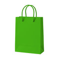 PaperBag Mockup | Kelly Green — Digital Download Mockup | High-Resolution JPG | Commercial Use Included | MockupBulk