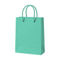 PaperBag Mockup — Seafoam — Digital Download Mockup | High-Resolution JPG | Commercial Use Included | MockupBulk