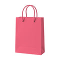 PaperBag Mockup | Watermelon — Digital Download Mockup | High-Resolution JPG | Commercial Use Included | MockupBulk