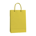 Citrus PaperBag Mockup | Digital JPG Mockup | Commercial Licence | For Etsy Printful Printify | MockupBulk