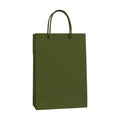 PaperBag Mockup — Cypress — POD Print Mockup | Instant JPG Download | Commercial Licence Included | MockupBulk