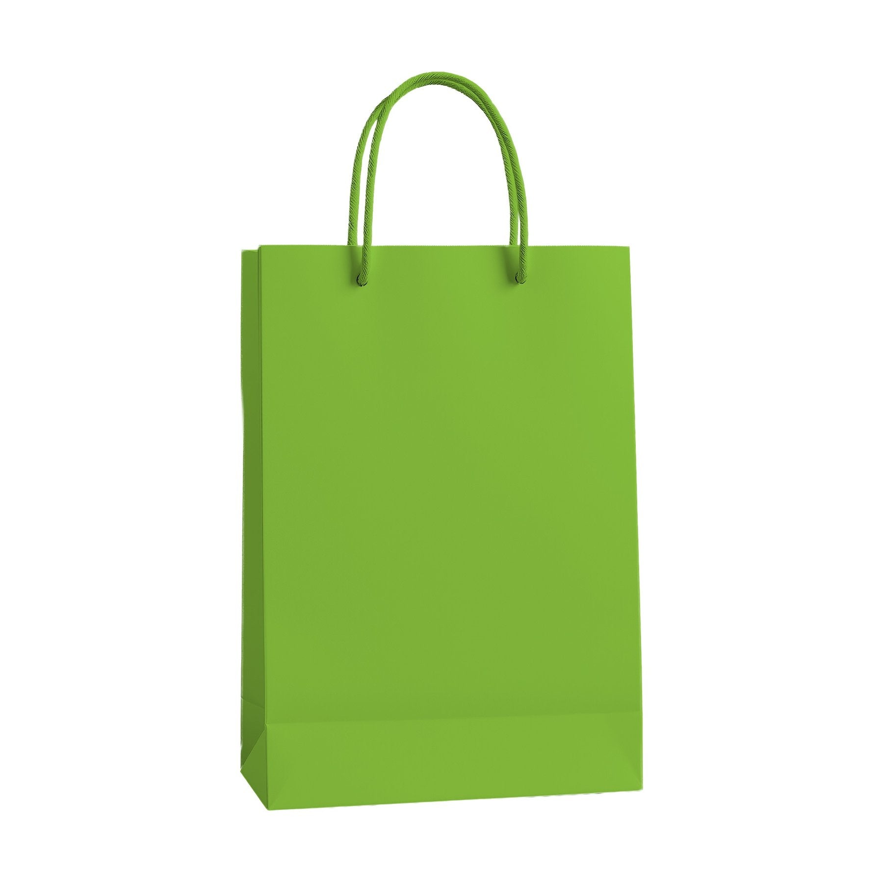 PaperBag Mockup, Kiwi | High-Res JPG Instant Download | Commercial Use | Etsy POD Shopify Template | MockupBulk