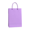 PaperBag Mockup — Mauve — Digital JPG Mockup | Commercial Licence | For Etsy Printful Printify | MockupBulk