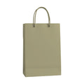 PaperBag Mockup | Sage — JPG Mockup Download | For POD Sellers Designers Etsy Shops | Commercial Use | MockupBulk