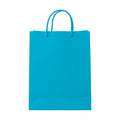 PaperBag Mockup | Aqua | JPG Digital Download | Etsy Shopify Mockup | Commercial Licence Included | MockupBulk