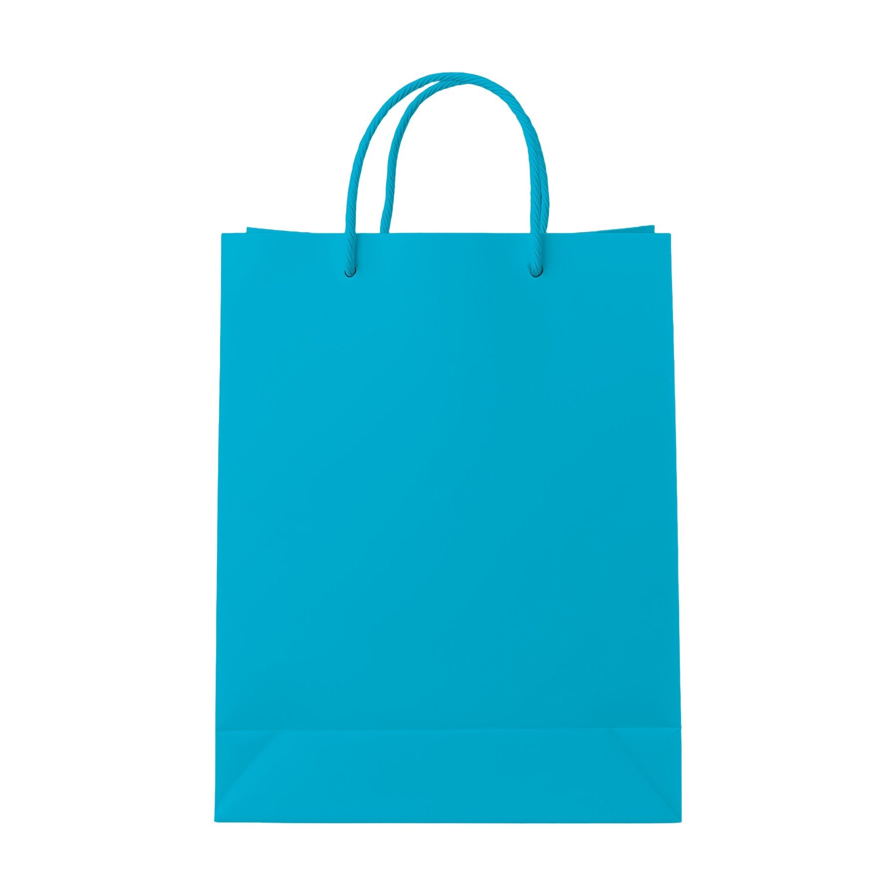 PaperBag Mockup | Aqua | JPG Digital Download | Etsy Shopify Mockup | Commercial Licence Included | MockupBulk