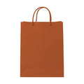 PaperBag Mockup — Autumn — JPG Mockup Download | For POD Sellers Designers Etsy Shops | Commercial Use | MockupBulk