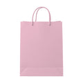 PaperBag Mockup | Blossom | JPG Digital Download | Etsy Shopify Mockup | Commercial Licence Included | MockupBulk