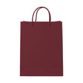 PaperBag Mockup, Burgundy | High-Res JPG Instant Download | Commercial Use | Etsy POD Shopify Template | MockupBulk