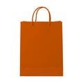 Burnt Orange PaperBag Mockup | Shopify Etsy Mockup Template | High-Res JPG | Commercial Use Download | MockupBulk