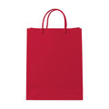 PaperBag Mockup | Cardinal Red — Shopify Etsy Mockup Template | High-Res JPG | Commercial Use Download | MockupBulk
