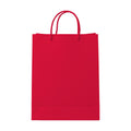PaperBag Mockup, Crimson | Instant Download JPG Mockup | POD Etsy Redbubble Printful | Commercial Use | MockupBulk