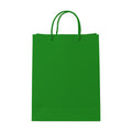 PaperBag Mockup — Forest Green — JPG Mockup Download | For POD Sellers Designers Etsy Shops | Commercial Use | MockupBulk
