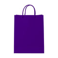 PaperBag Mockup | Indigo — Print on Demand Mockup | High-Res JPG Download | Commercial Use Included | MockupBulk