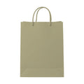 PaperBag Mockup | Sage | Digital Download Mockup | High-Resolution JPG | Commercial Use Included | MockupBulk