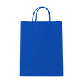 Sapphire PaperBag Mockup | Instant Download JPG Mockup | POD Etsy Redbubble Printful | Commercial Use | MockupBulk