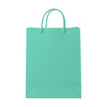 Seafoam PaperBag Mockup | High-Res Mockup Template | JPG Digital Download | Commercial Licence | MockupBulk