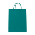 PaperBag Mockup, Teal | Digital JPG Mockup | Commercial Licence | For Etsy Printful Printify | MockupBulk
