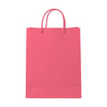 PaperBag Mockup | Watermelon | High Resolution JPG | POD Mockup Template | Commercial Use Download | MockupBulk