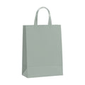 Ash PaperBag Mockup | High-Res Mockup Template | JPG Digital Download | Commercial Licence | MockupBulk
