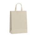 PaperBag Mockup | Bone | JPG Mockup Download | For POD Sellers Designers Etsy Shops | Commercial Use | MockupBulk