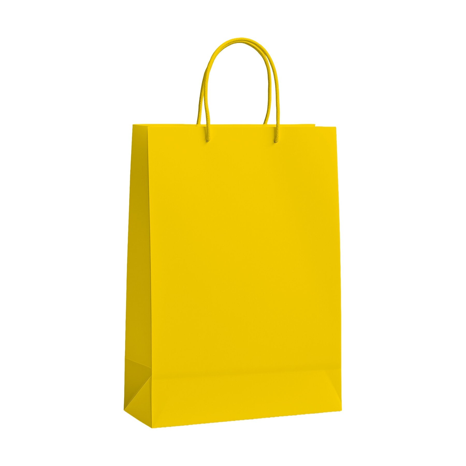 Daisy PaperBag Mockup | Etsy POD Mockup Template | Instant Download JPG | Commercial Use | MockupBulk