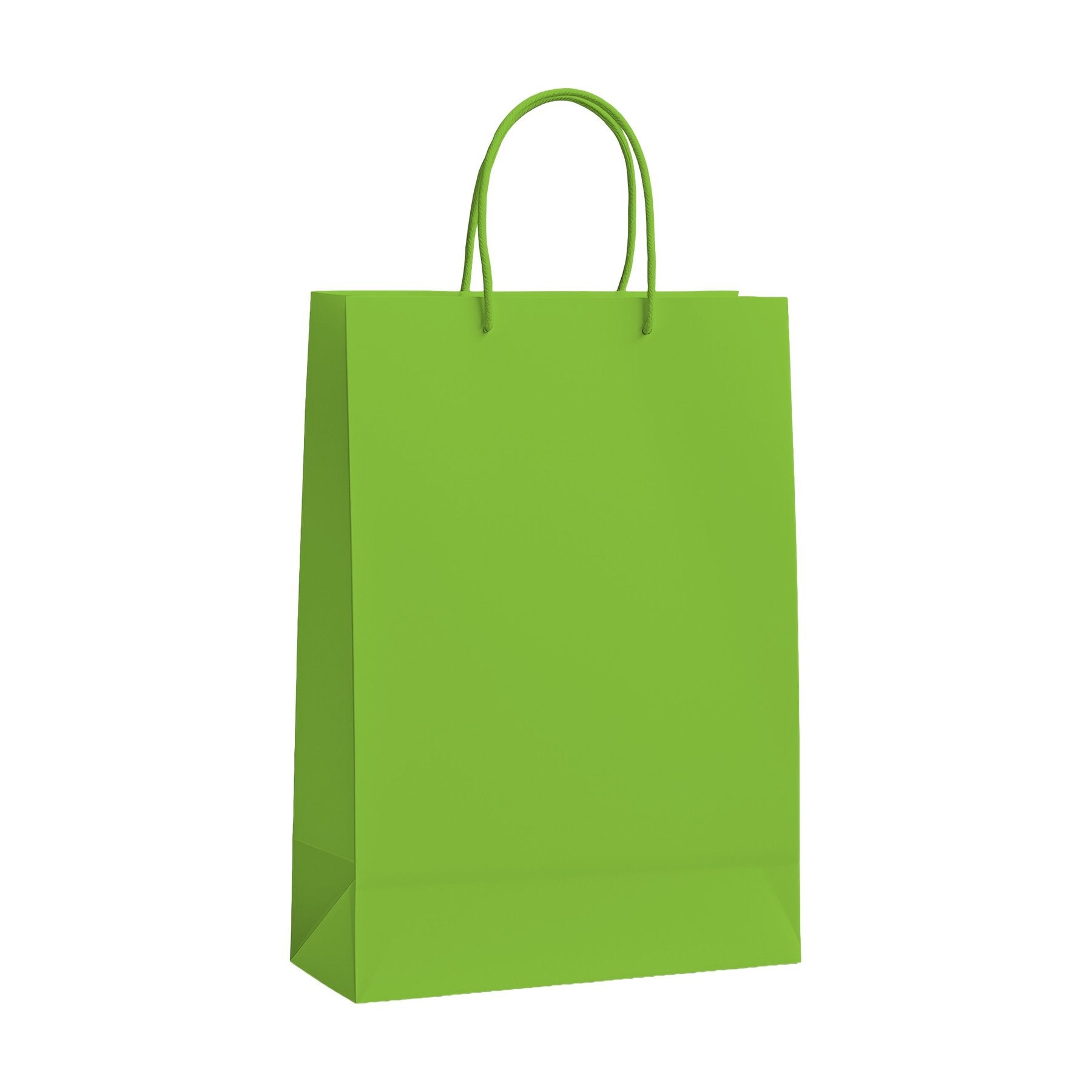 PaperBag Mockup, Kiwi | High-Res JPG Template | Instant Digital Download | POD Etsy Shopify | MockupBulk