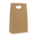 Camel PaperBag Mockup | High-Res JPG Instant Download | Commercial Use | Etsy POD Shopify Template | MockupBulk