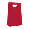 PaperBag Mockup — Cardinal Red — JPG Mockup Download | For POD Sellers Designers Etsy Shops | Commercial Use | MockupBulk