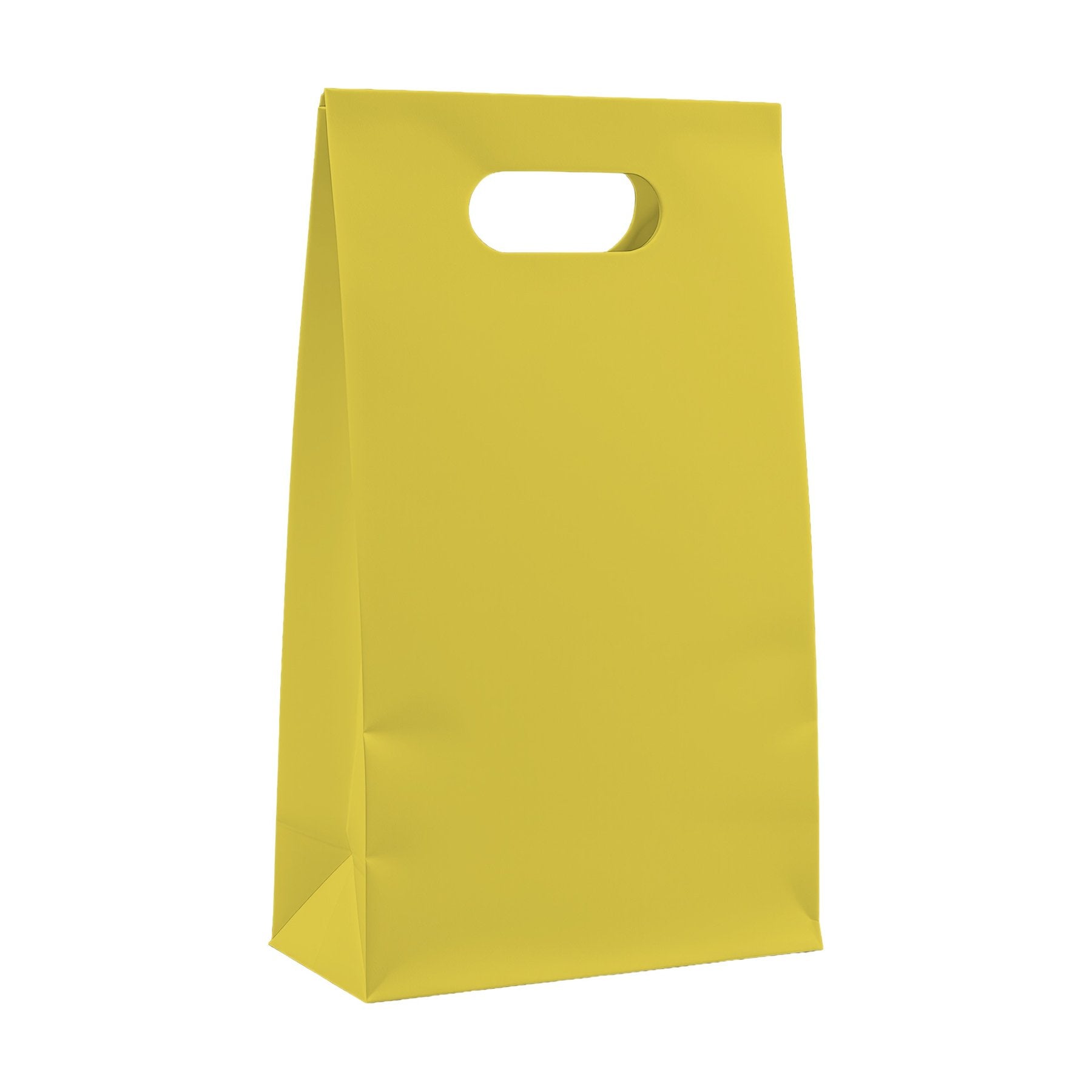 Citrus PaperBag Mockup | Instant Download JPG Mockup | POD Etsy Redbubble Printful | Commercial Use | MockupBulk