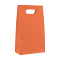 PaperBag Mockup, Coral | High-Res Mockup Template | JPG Digital Download | Commercial Licence | MockupBulk