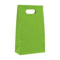 PaperBag Mockup | Kiwi — Print on Demand Mockup | High-Res JPG Download | Commercial Use Included | MockupBulk