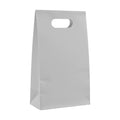 PaperBag Mockup | Light Gray | Instant Download JPG Mockup | POD Etsy Redbubble Printful | Commercial Use | MockupBulk