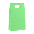 PaperBag Mockup, Mint | High-Res JPG Instant Download | Commercial Use | Etsy POD Shopify Template | MockupBulk