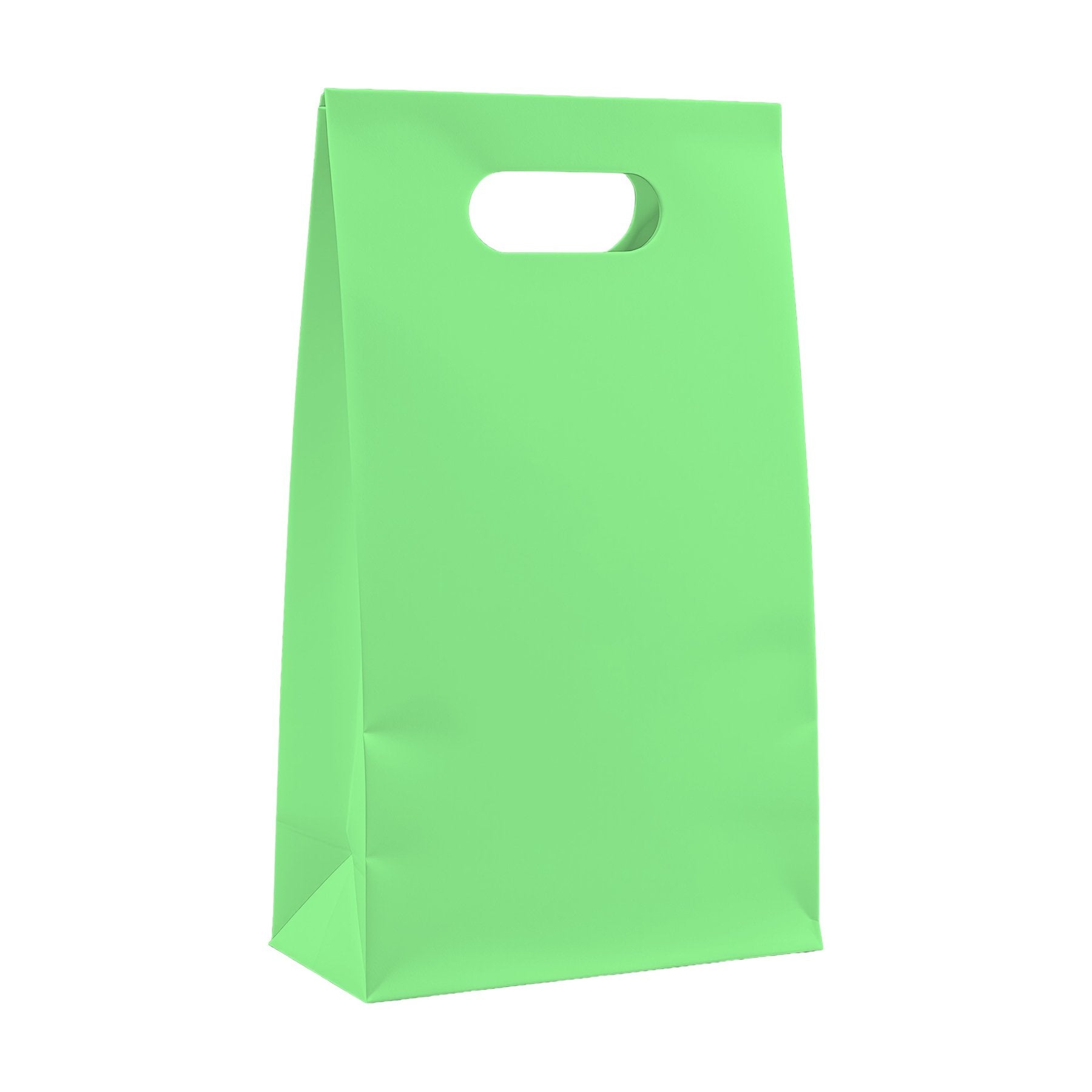 PaperBag Mockup, Mint | High-Res JPG Instant Download | Commercial Use | Etsy POD Shopify Template | MockupBulk