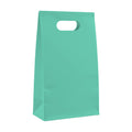 PaperBag Mockup | Seafoam | High-Res Mockup Template | JPG Digital Download | Commercial Licence | MockupBulk